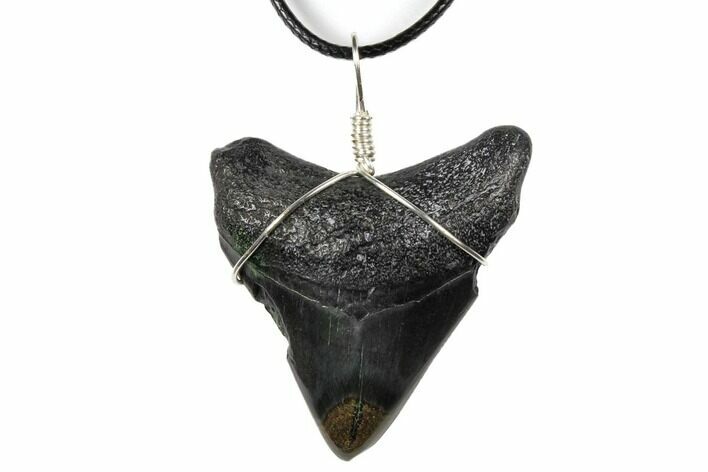 Fossil Megalodon Tooth Necklace #130972